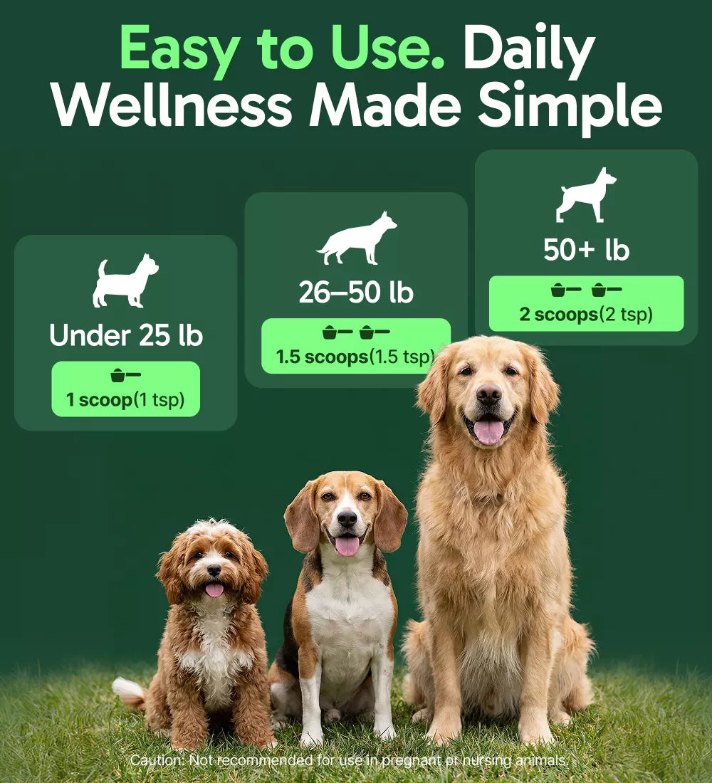 Dog-Immune-Support