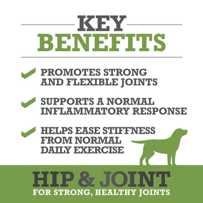 Hip & joint