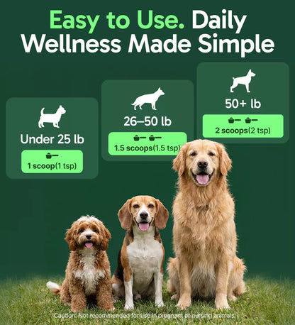 Dog-Immune-Support