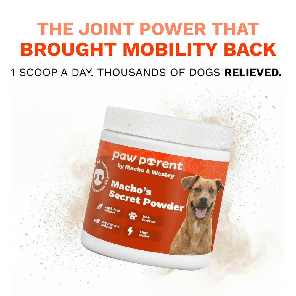 Saviora- Hip & Joint Powder