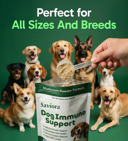 Dog-Immune-Support