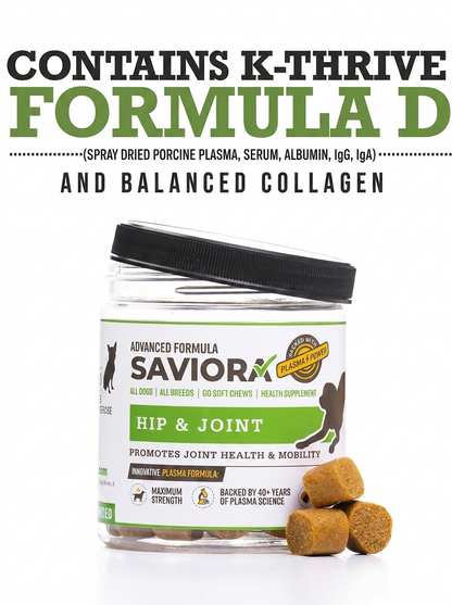 Hip & joint